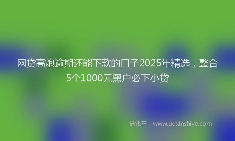 网贷高炮逾期还能下款的口子2025年精选，整合5个1000元黑户必下小贷