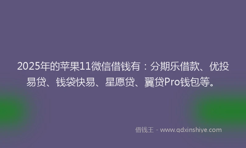 2025年的苹果11微信借钱有：分期乐借款、优投易贷、钱袋快易、星愿贷、翼贷Pro钱包等。