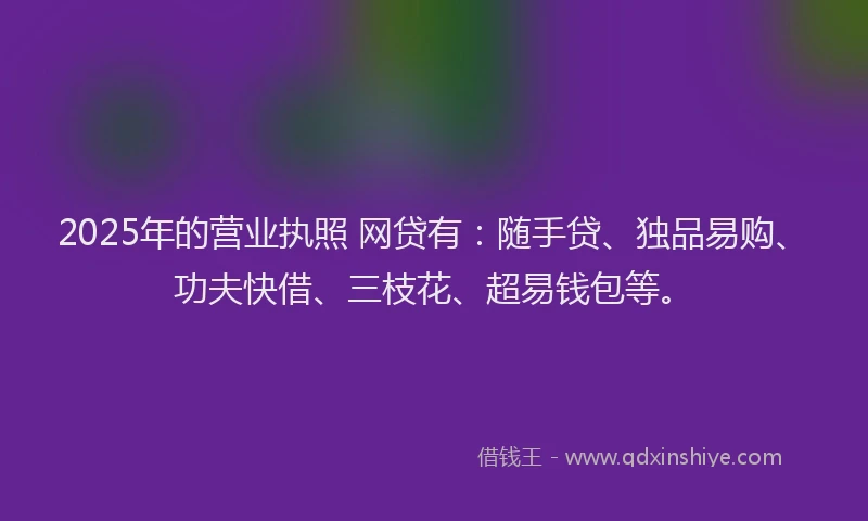 2025年的营业执照 网贷有：随手贷、独品易购、功夫快借、三枝花、超易钱包等。