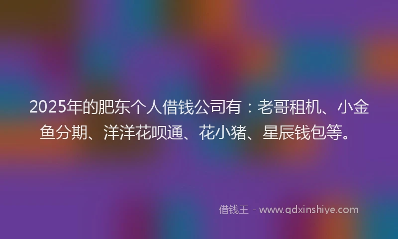 2025年的肥东个人借钱公司有：老哥租机、小金鱼分期、洋洋花呗通、花小猪、星辰钱包等。