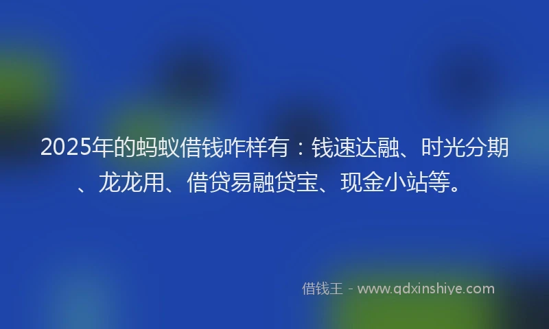 2025年的蚂蚁借钱咋样有：钱速达融、时光分期、龙龙用、借贷易融贷宝、现金小站等。