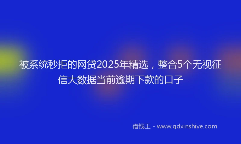 被系统秒拒的网贷2025年精选，整合5个无视征信大数据当前逾期下款的口子