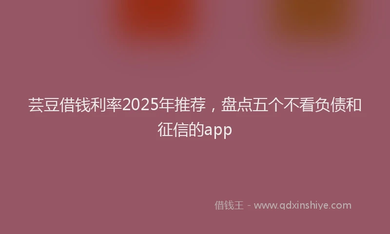 芸豆借钱利率2025年推荐，盘点五个不看负债和征信的app