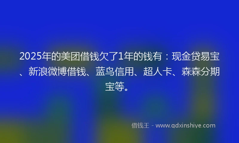 2025年的美团借钱欠了1年的钱有：现金贷易宝、新浪微博借钱、蓝鸟信用、超人卡、森森分期宝等。