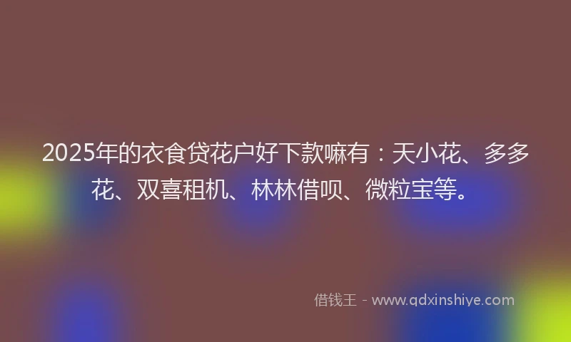 2025年的衣食贷花户好下款嘛有：天小花、多多花、双喜租机、林林借呗、微粒宝等。