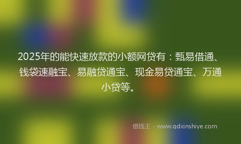 2025年的能快速放款的小额网贷有：甄易借通、钱袋速融宝、易融贷通宝、现金易贷通宝、万通小贷等。