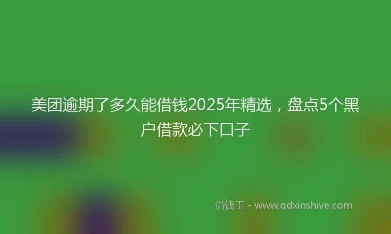 美团逾期了多久能借钱2025年精选，盘点5个黑户借款必下口子
