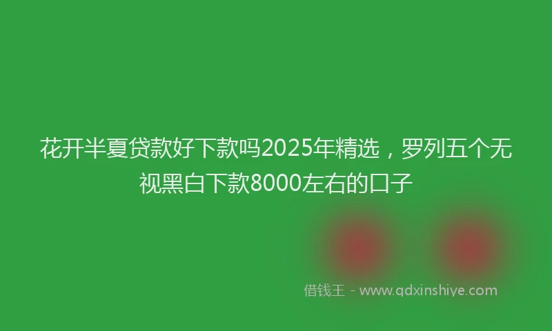 花开半夏贷款好下款吗2025年精选，罗列五个无视黑白下款8000左右的口子