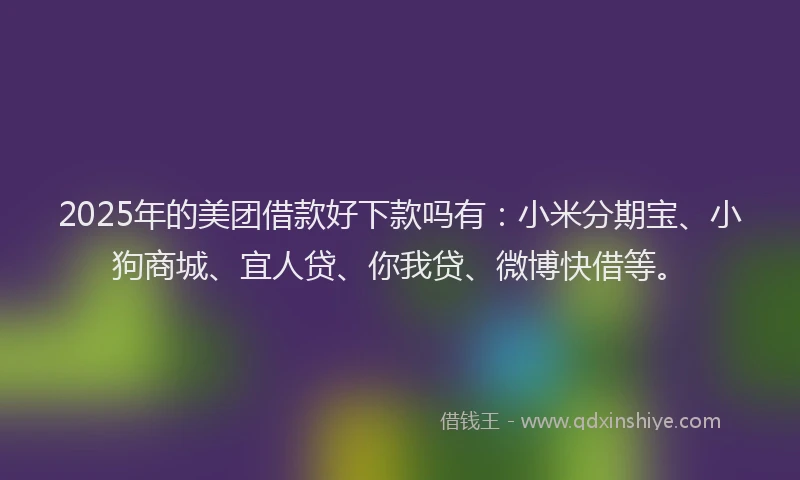 2025年的美团借款好下款吗有：小米分期宝、小狗商城、宜人贷、你我贷、微博快借等。