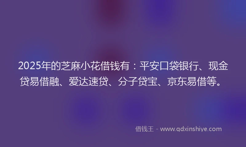 2025年的芝麻小花借钱有：平安口袋银行、现金贷易借融、爱达速贷、分子贷宝、京东易借等。