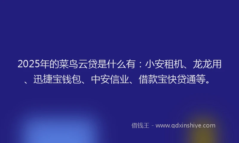 2025年的菜鸟云贷是什么有：小安租机、龙龙用、迅捷宝钱包、中安信业、借款宝快贷通等。