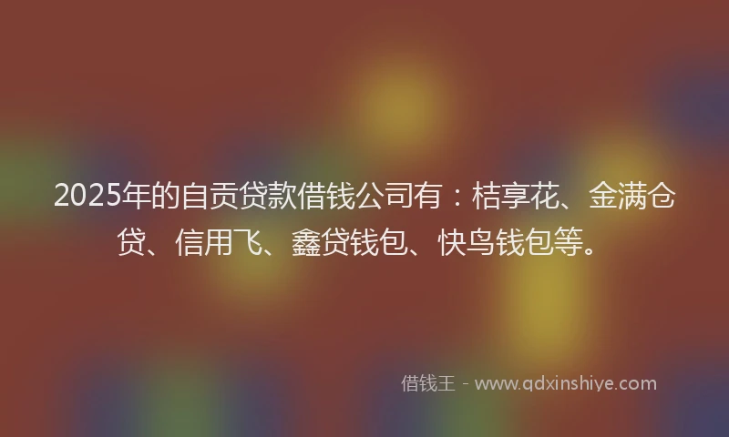 2025年的自贡贷款借钱公司有：桔享花、金满仓贷、信用飞、鑫贷钱包、快鸟钱包等。