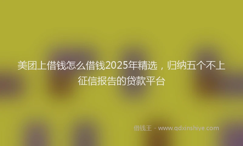 美团上借钱怎么借钱2025年精选，归纳五个不上征信报告的贷款平台