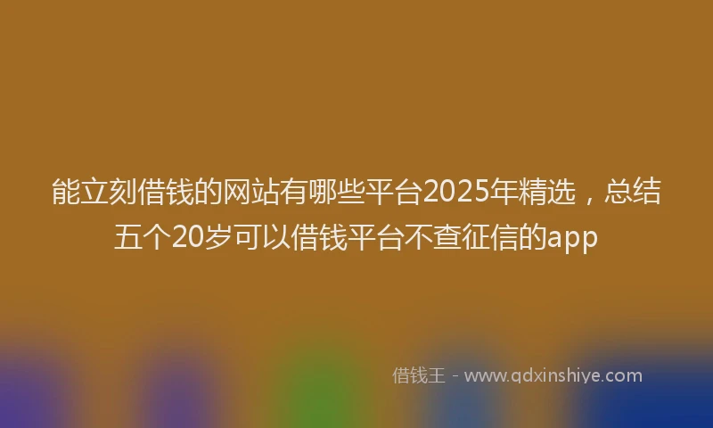 能立刻借钱的网站有哪些平台2025年精选，总结五个20岁可以借钱平台不查征信的app