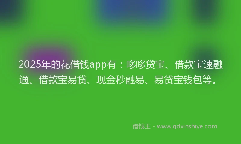 2025年的花借钱app有：哆哆贷宝、借款宝速融通、借款宝易贷、现金秒融易、易贷宝钱包等。