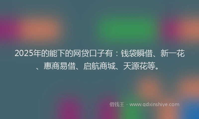 2025年的能下的网贷口子有：钱袋瞬借、新一花、惠商易借、启航商城、天源花等。