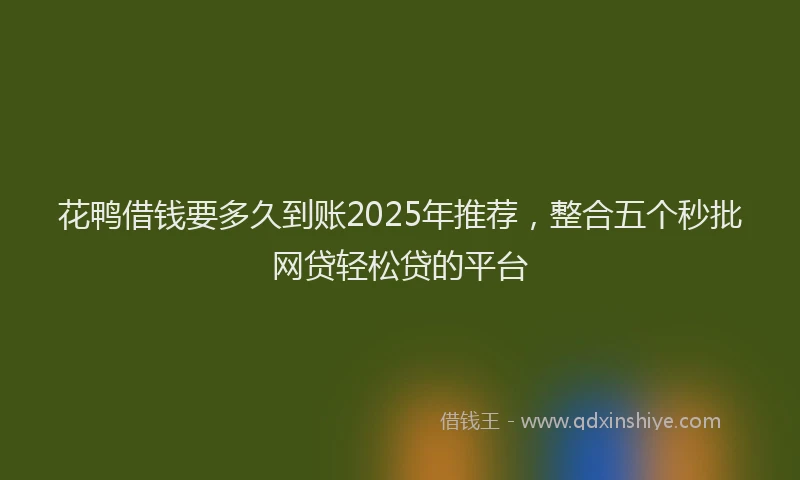 花鸭借钱要多久到账2025年推荐，整合五个秒批网贷轻松贷的平台