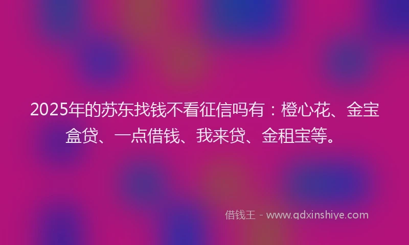 2025年的苏东找钱不看征信吗有：橙心花、金宝盒贷、一点借钱、我来贷、金租宝等。