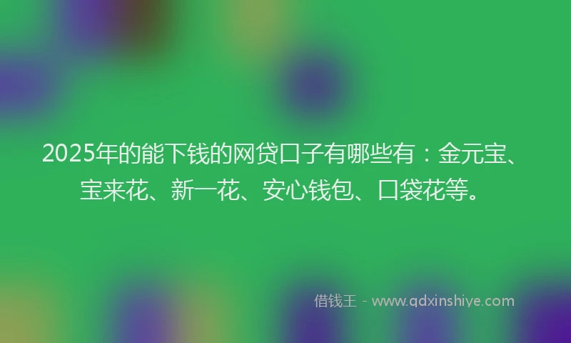 2025年的能下钱的网贷口子有哪些有：金元宝、宝来花、新一花、安心钱包、口袋花等。