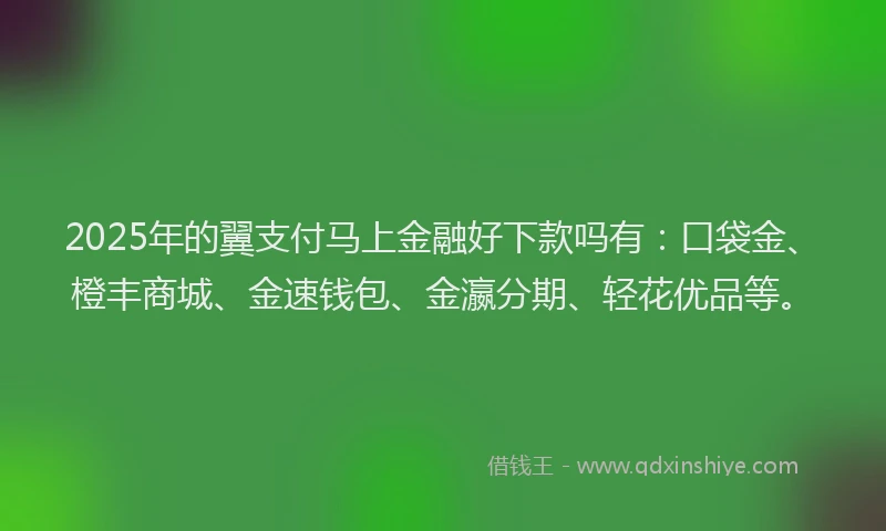 2025年的翼支付马上金融好下款吗有：口袋金、橙丰商城、金速钱包、金瀛分期、轻花优品等。