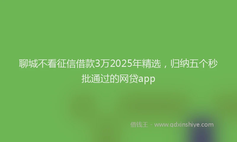 聊城不看征信借款3万2025年精选，归纳五个秒批通过的网贷app