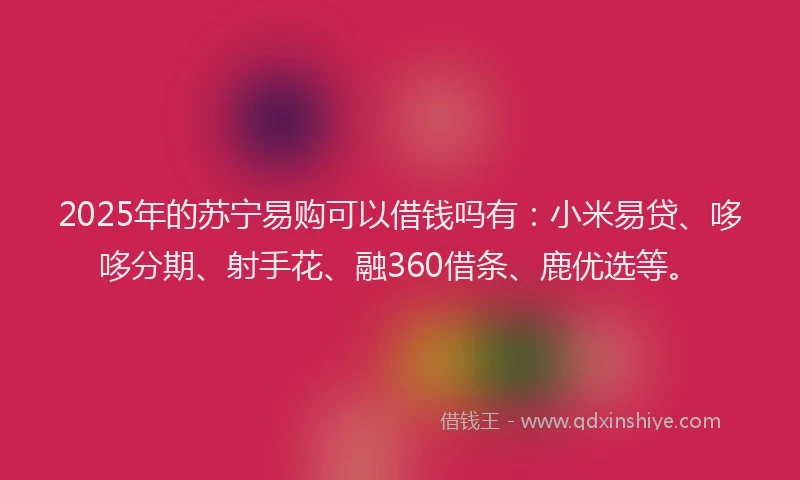 2025年的苏宁易购可以借钱吗有：小米易贷、哆哆分期、射手花、融360借条、鹿优选等。