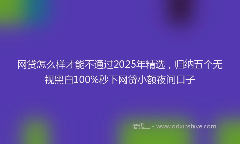 网贷怎么样才能不通过2025年精选，归纳五个无视黑白100%秒下网贷小额夜间口子