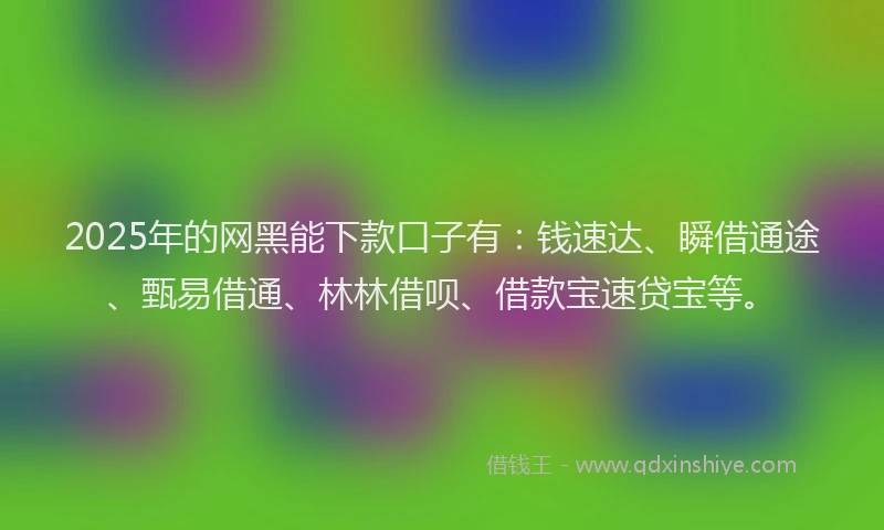 2025年的网黑能下款口子有：钱速达、瞬借通途、甄易借通、林林借呗、借款宝速贷宝等。
