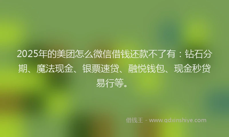 2025年的美团怎么微信借钱还款不了有：钻石分期、魔法现金、银票速贷、融悦钱包、现金秒贷易行等。