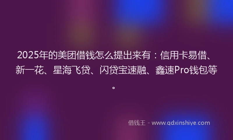 2025年的美团借钱怎么提出来有：信用卡易借、新一花、星海飞贷、闪贷宝速融、鑫速Pro钱包等。