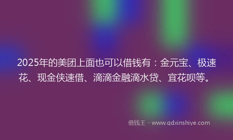 2025年的美团上面也可以借钱有：金元宝、极速花、现金侠速借、滴滴金融滴水贷、宜花呗等。
