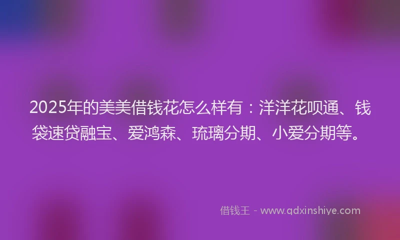 2025年的美美借钱花怎么样有：洋洋花呗通、钱袋速贷融宝、爱鸿森、琉璃分期、小爱分期等。