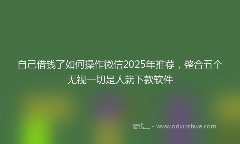 自己借钱了如何操作微信2025年推荐，整合五个无视一切是人就下款软件