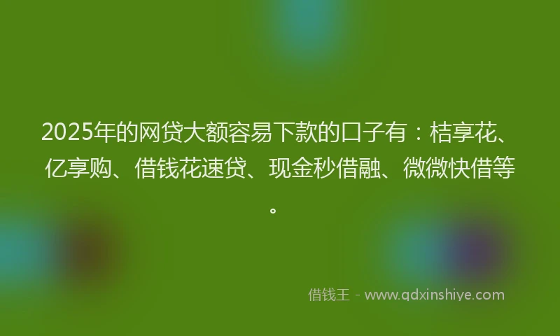 2025年的网贷大额容易下款的口子有：桔享花、亿享购、借钱花速贷、现金秒借融、微微快借等。