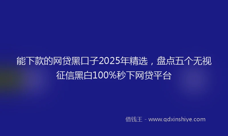 能下款的网贷黑口子2025年精选，盘点五个无视征信黑白100%秒下网贷平台