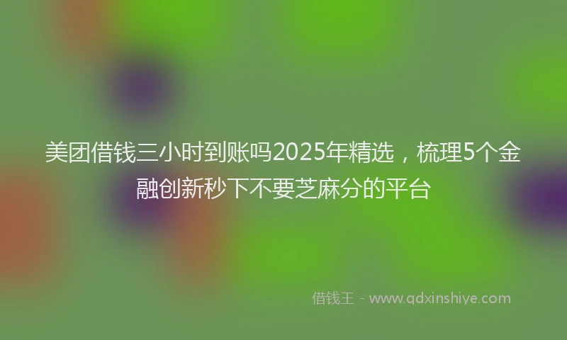 美团借钱三小时到账吗2025年精选，梳理5个金融创新秒下不要芝麻分的平台