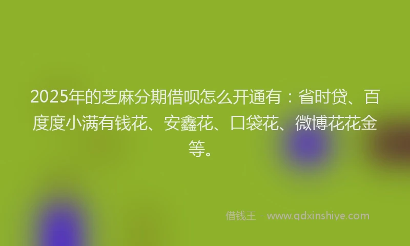 2025年的芝麻分期借呗怎么开通有：省时贷、百度度小满有钱花、安鑫花、口袋花、微博花花金等。