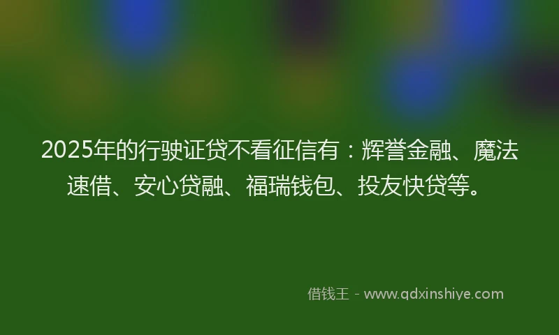 2025年的行驶证贷不看征信有：辉誉金融、魔法速借、安心贷融、福瑞钱包、投友快贷等。