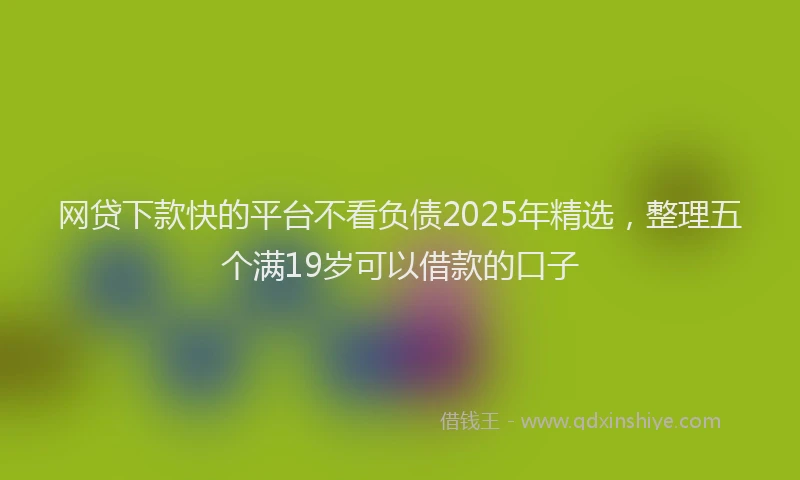 网贷下款快的平台不看负债2025年精选，整理五个满19岁可以借款的口子
