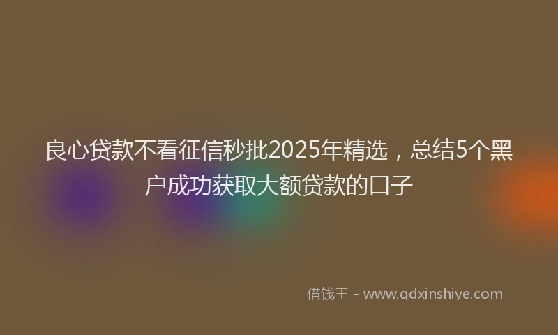 良心贷款不看征信秒批2025年精选，总结5个黑户成功获取大额贷款的口子