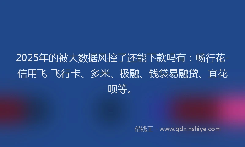2025年的被大数据风控了还能下款吗有：畅行花-信用飞-飞行卡、多米、极融、钱袋易融贷、宜花呗等。