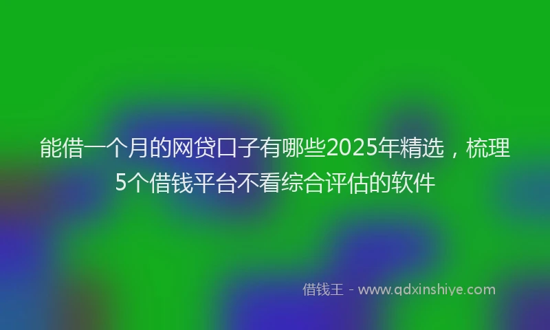 能借一个月的网贷口子有哪些2025年精选，梳理5个借钱平台不看综合评估的软件