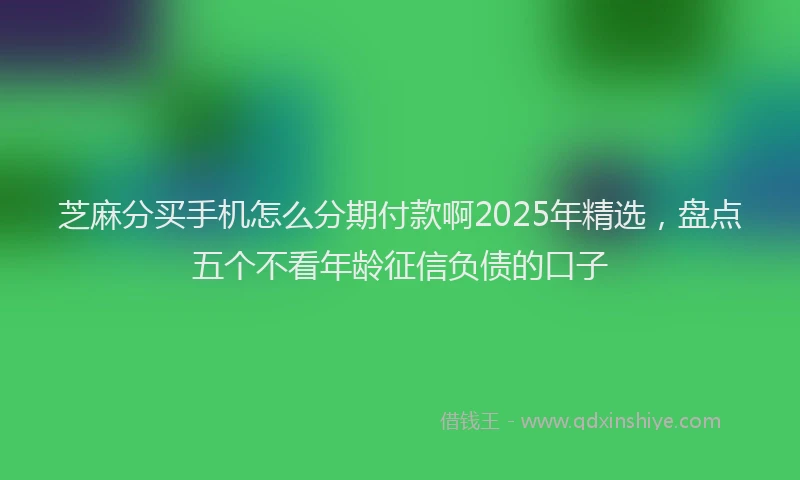 芝麻分买手机怎么分期付款啊2025年精选，盘点五个不看年龄征信负债的口子