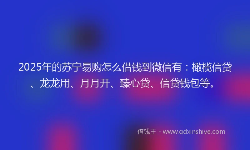 2025年的苏宁易购怎么借钱到微信有：橄榄信贷、龙龙用、月月开、臻心贷、信贷钱包等。