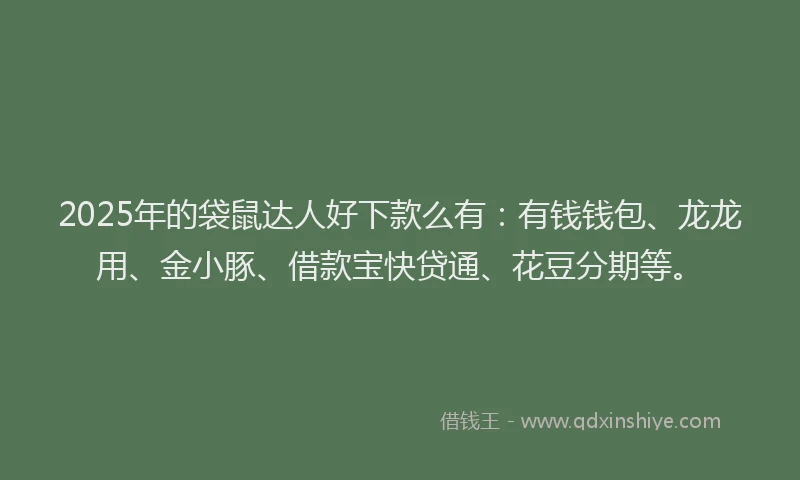 2025年的袋鼠达人好下款么有：有钱钱包、龙龙用、金小豚、借款宝快贷通、花豆分期等。