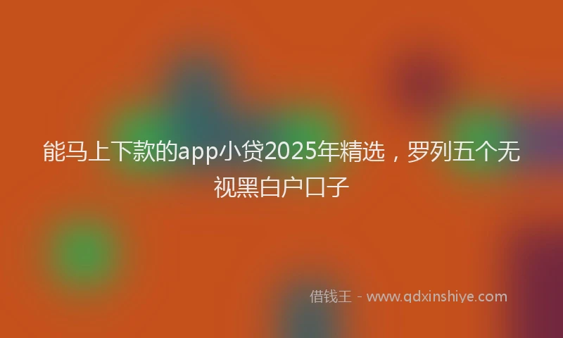 能马上下款的app小贷2025年精选，罗列五个无视黑白户口子