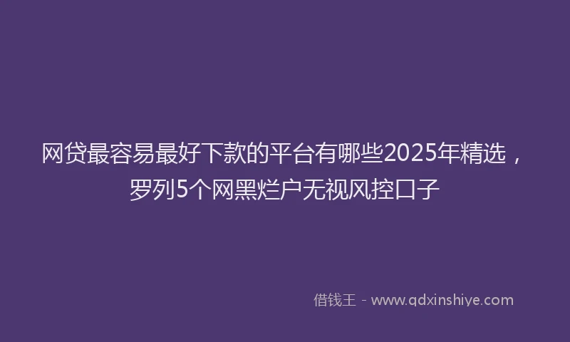 网贷最容易最好下款的平台有哪些2025年精选，罗列5个网黑烂户无视风控口子