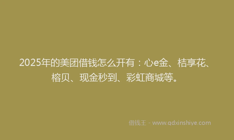 2025年的美团借钱怎么开有：心e金、桔享花、榕贝、现金秒到、彩虹商城等。