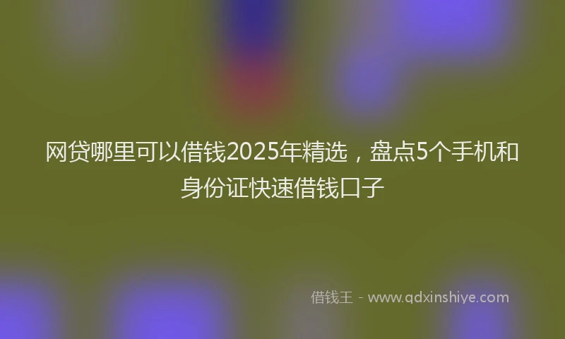 网贷哪里可以借钱2025年精选，盘点5个手机和身份证快速借钱口子