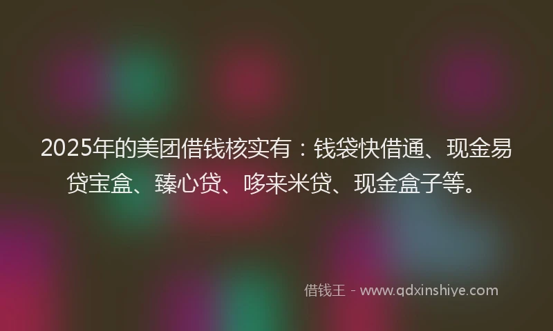 2025年的美团借钱核实有：钱袋快借通、现金易贷宝盒、臻心贷、哆来米贷、现金盒子等。